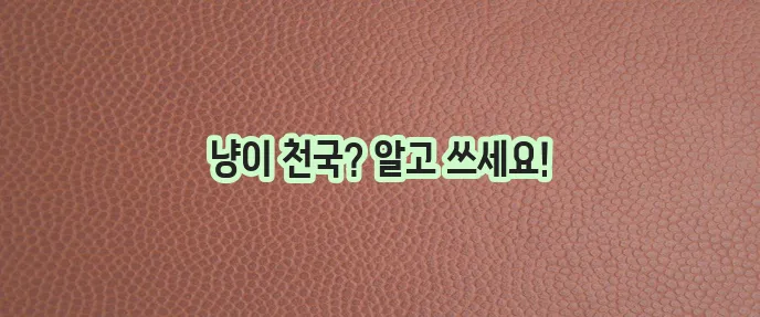 캣닢 효능과 주의사항 고양이에게 정말 즐거움을 줄까요?