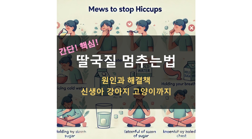 딸국질 멈추는법