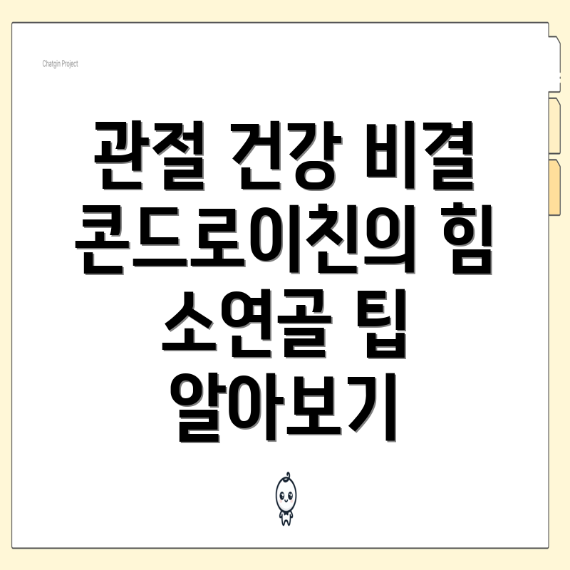 콘드로이친