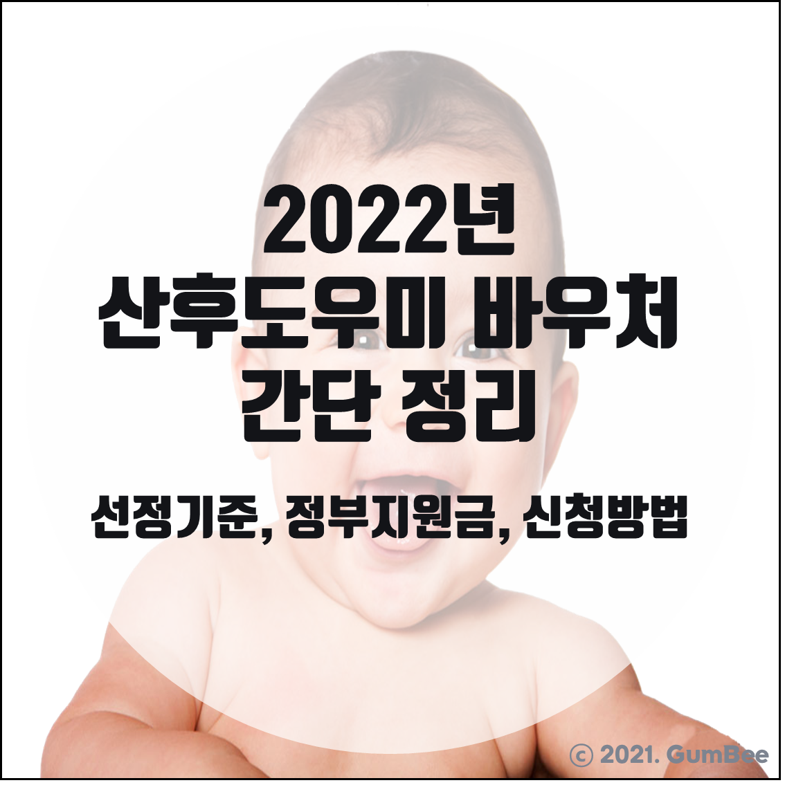  2022년 산모 신생아 건강관리 바우처(정부 지원 산후도우미 바우처) 선정기준 / 정부지원금/ 신청방법