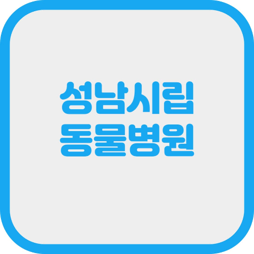 성남시립동물병원 개원