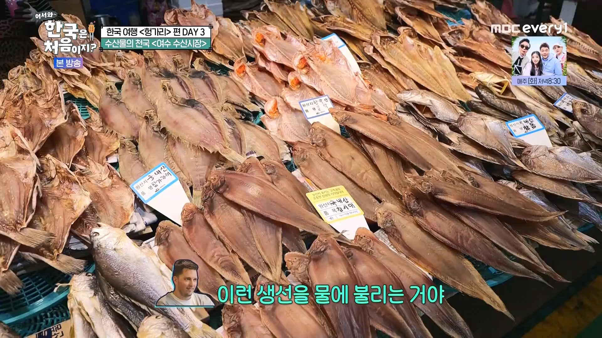 어서와 한국은 처음이지.E318.240613p.WANNA.mp4_20240615_163920.733.jpg