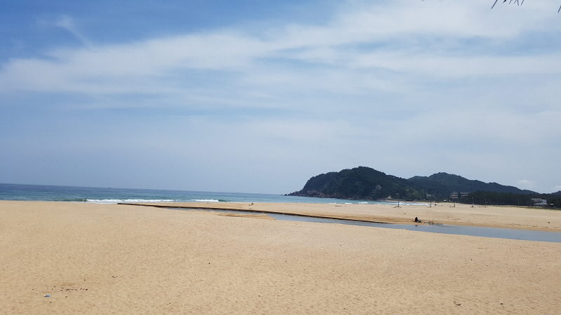 바다정원 이미지