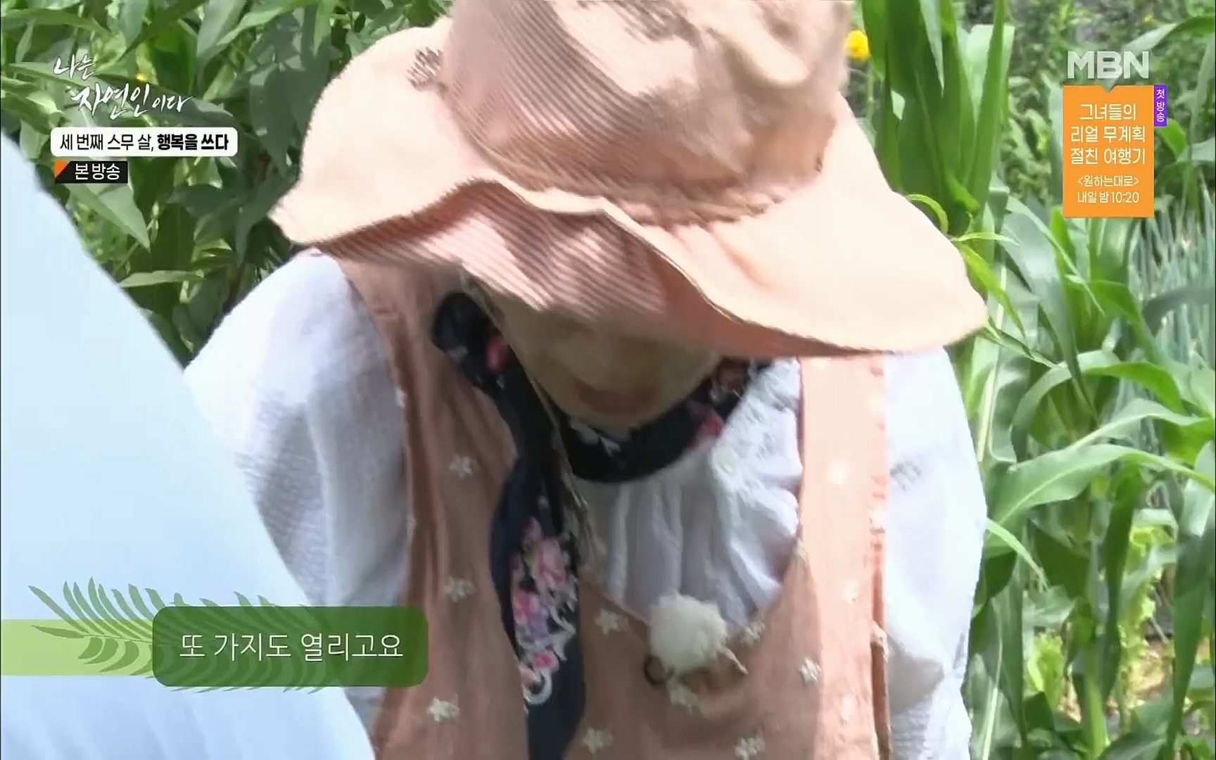나는 자연인이다.E516.220824p.H264-F1RST.mp4_20220825_164136.641.jpg
