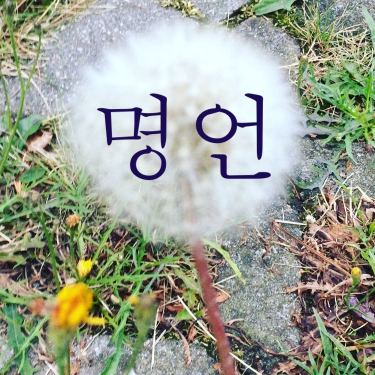  "인간은 어떻게 공존하는 가" (feat. 파스빈더)