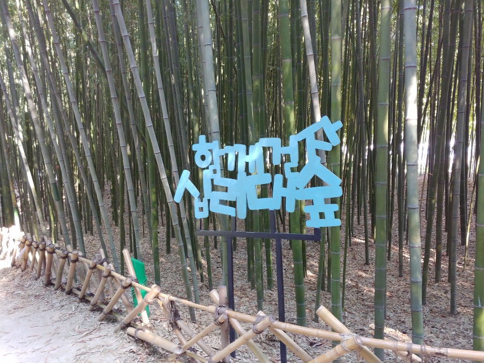  울산 가볼만한곳: 태화강 국가정원 십리대숲 은하수길