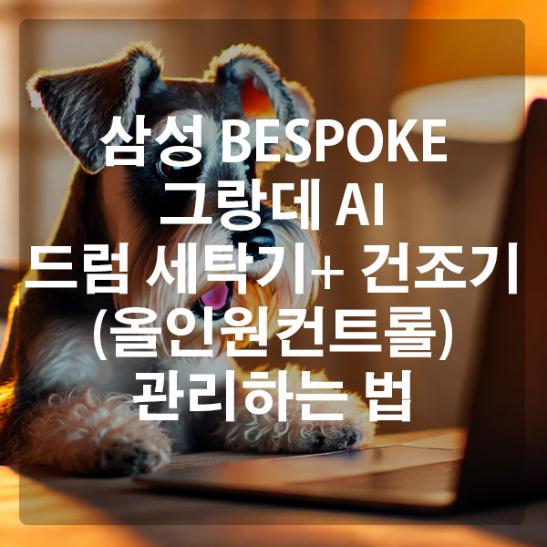 삼성 ESPOKE 그랑데 AI 드럼 세탁기+ 건조기(올인원컨트롤) 관리하는 법