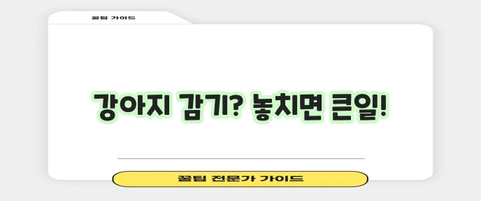 강아지 감기 증상 꼭 알아두고 건강 관리 힘쓰세요!
