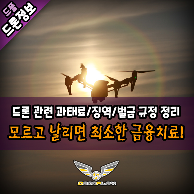 과태료 /징역/벌금 등 처벌 내용 정리 2