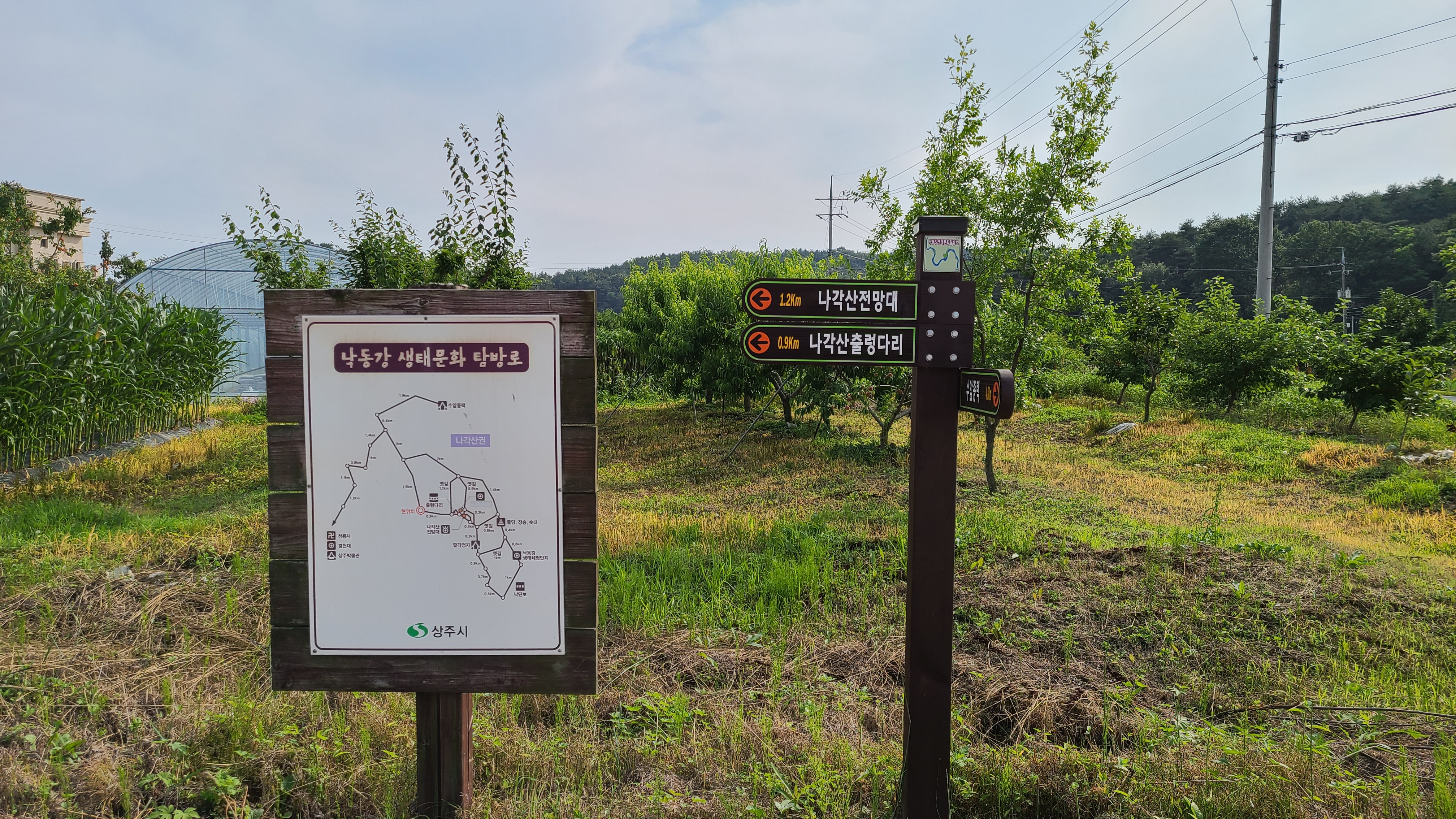  경북 상주 나각산 전망대 출렁다리 (산린이, 등린이 추천)