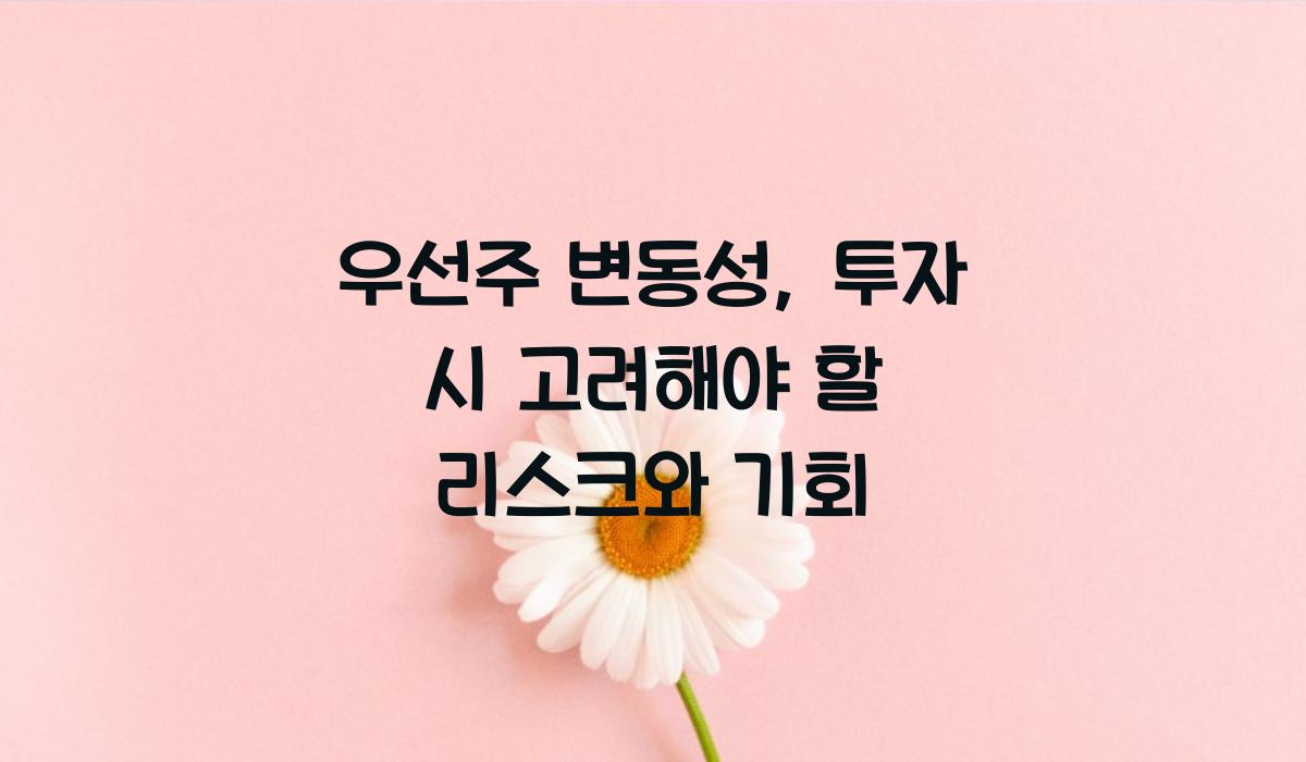 우선주 변동성