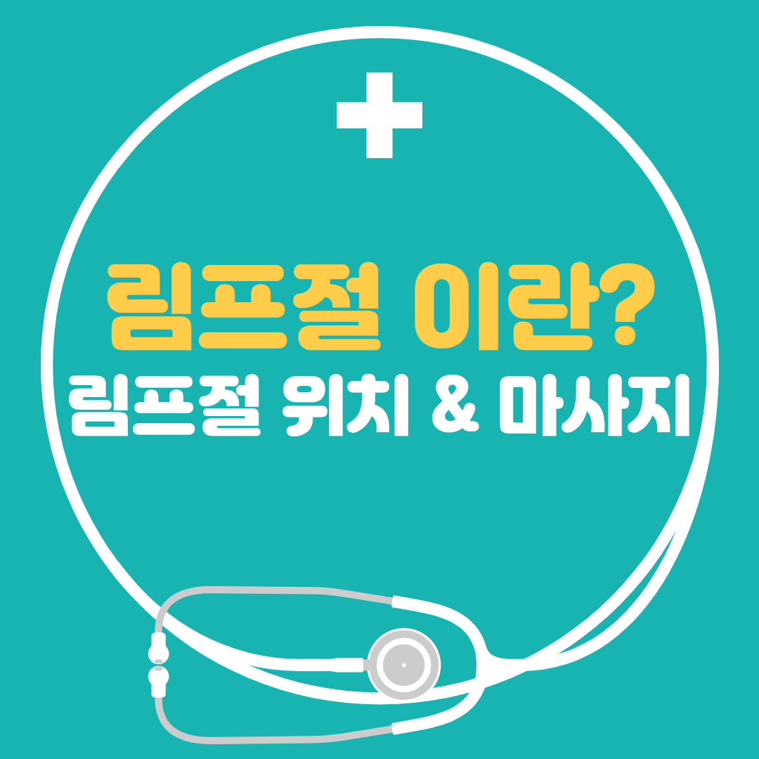  림프절 마사지 위치 겨드랑이 림프마사지 - 림프절 이란?