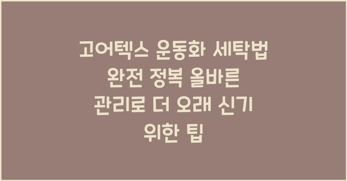 고어텍스 운동화 세탁법