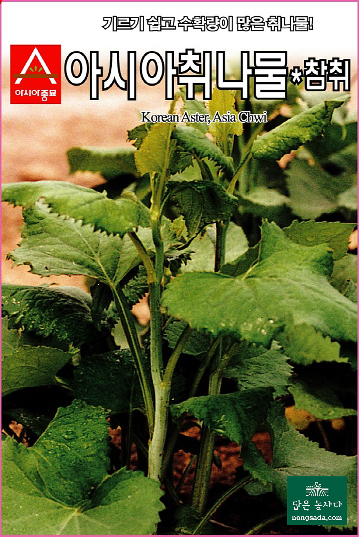 아시아종묘 취나물 씨앗종자: 건강한 나물, 취나물참취