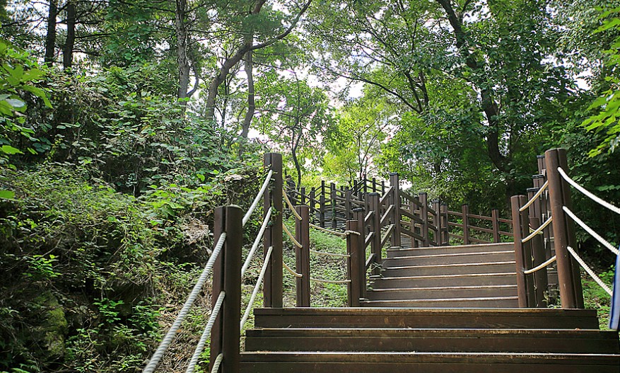 산책로