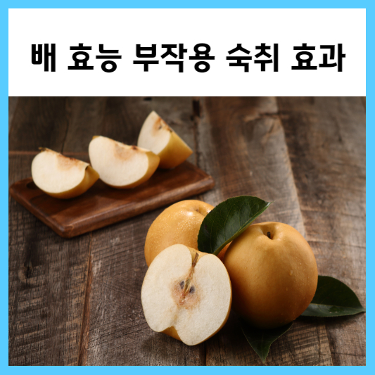  배 효능 부작용 숙취 해소 Good!