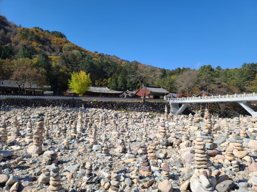 백담사 단풍 멋지다 ( 셔틀버스안내 ) 강원도 인제 여행 / 설악산 42