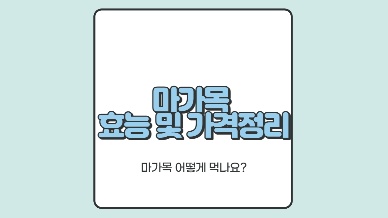  마가목 효능 먹는 방법 파는 곳 정리