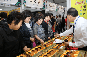 금산 인삼축제 일정