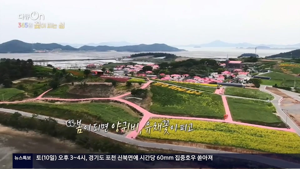 다큐 On.E201.230610p.H264-F1RST.mp4_20230611_165953.242.jpg