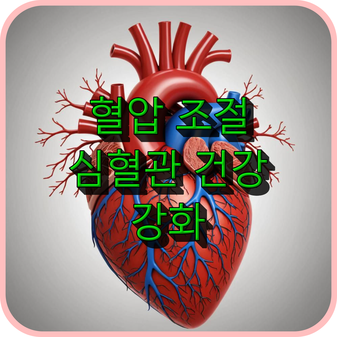 혈압 조절 및 심혈관 건강