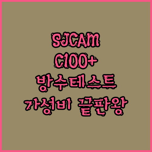 SJCAM C100 Plus 액션캠 