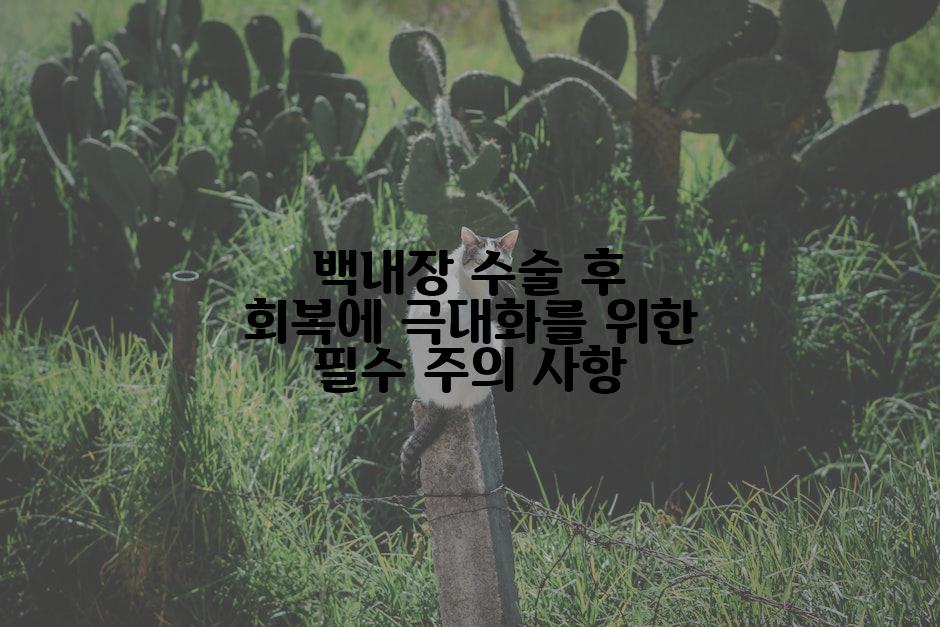백내장 수술 후 회복에 극대화를 위한 필수 주의 사항