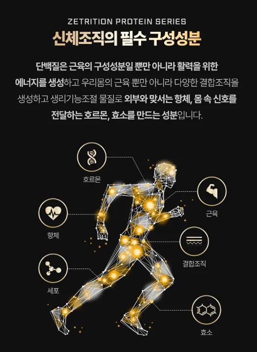 단백질 보충제 추천