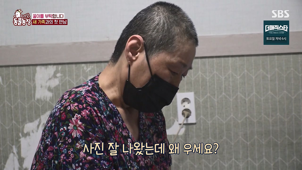 TV 동물농장.E1174.240603p-NEXT.mp4_20240602_155747.800.jpg