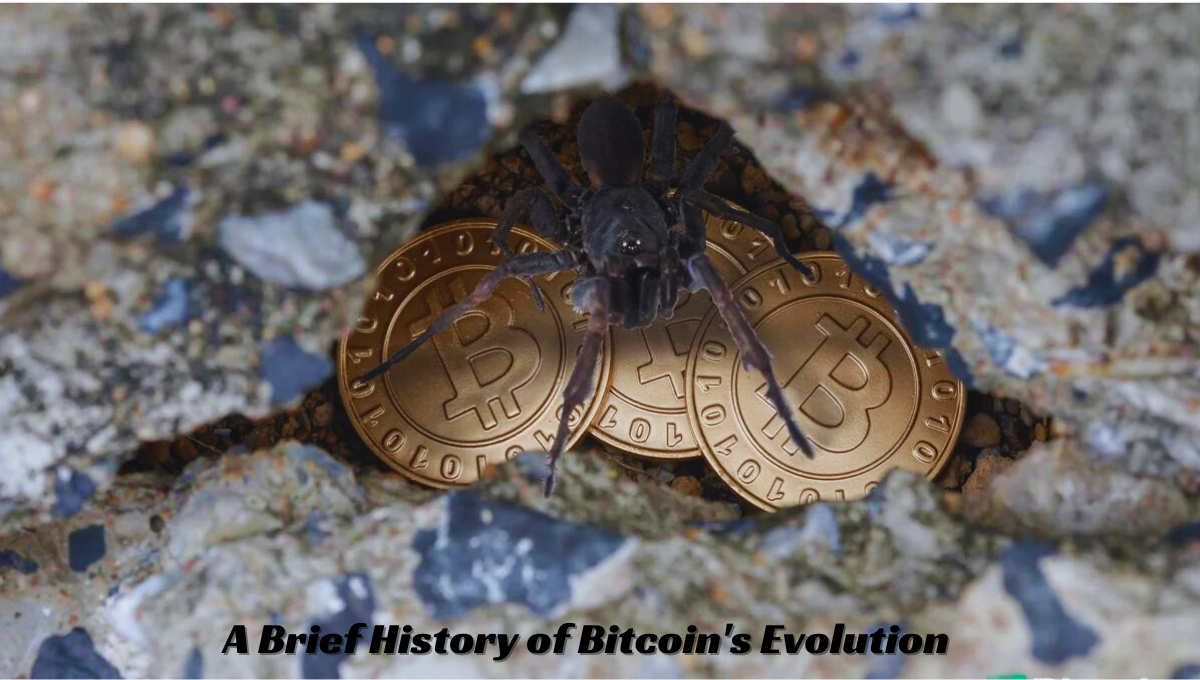 From Satoshi to Satoshi: A Brief History of Bitcoin&#39;s Evolution