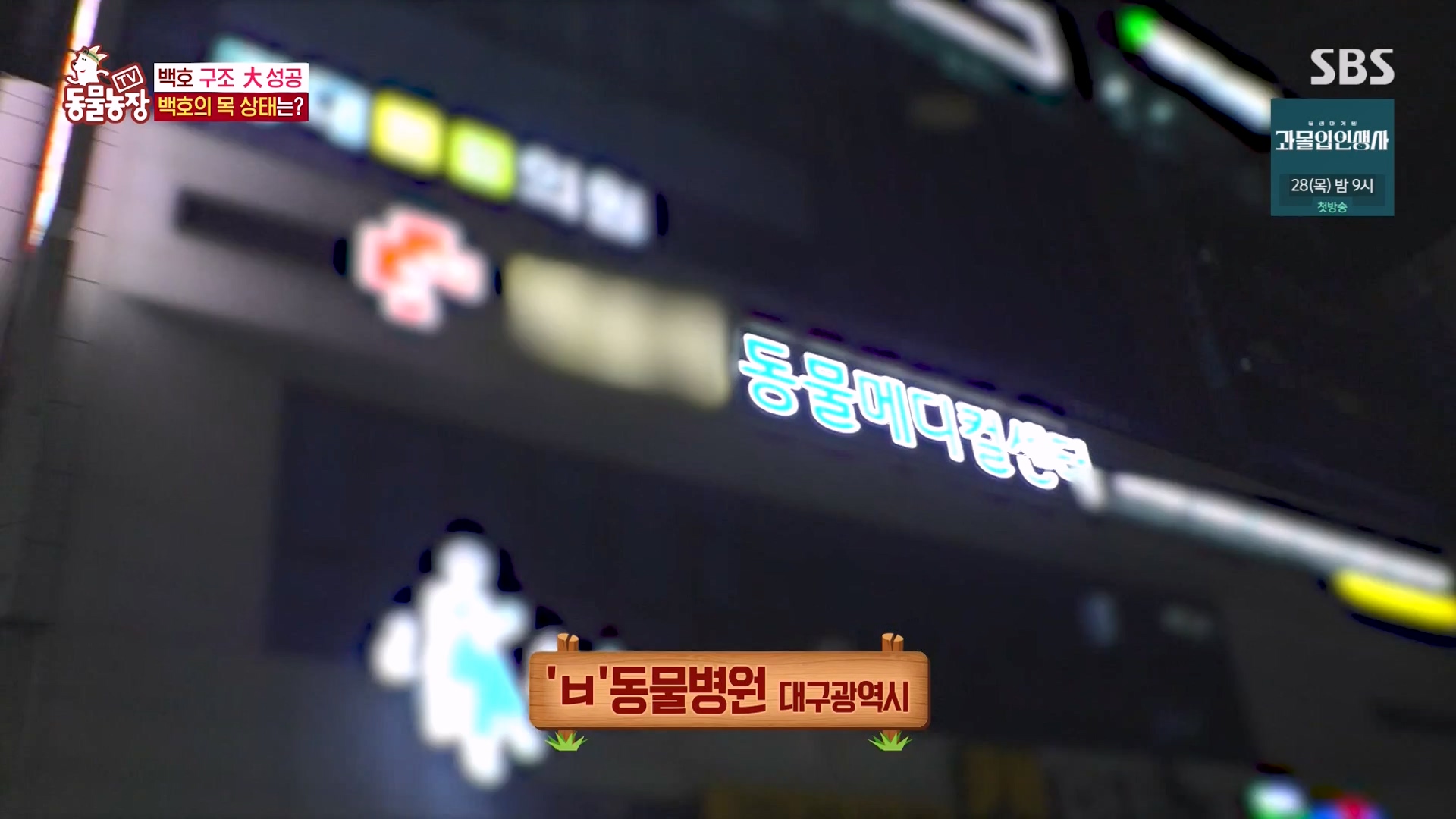 TV 동물농장.E1151.231224p-NEXT.mp4_20231224_154141.744.jpg