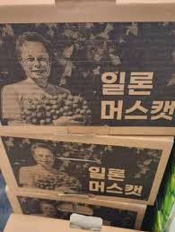 일론머스켓 시원하게 즐기는 방법