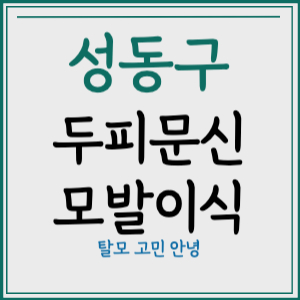 서울 성동구 두피문신 모발이식