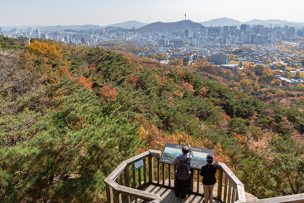 한양도성길
가을풍경
가을단풍
백악구간
서울여행
서울풍경
서울성곽길
청운대
말바위
숙정문