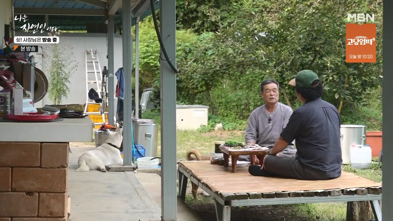나는 자연인이다.E573.230928p-NEXT.mp4_20230929_174820.841.jpg