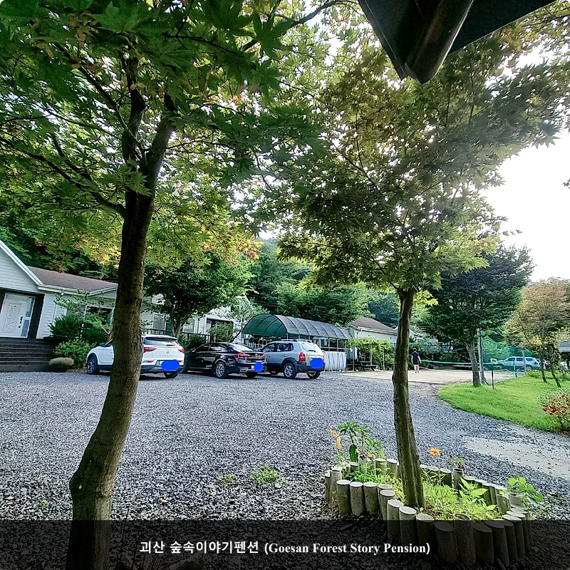 괴산 숲속이야기펜션 (Goesan Forest Story Pension)_4