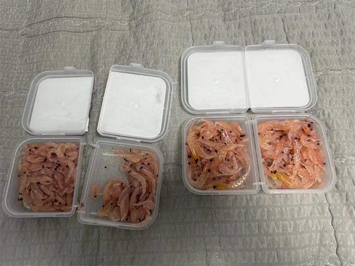 낚시용 크릴새우 냉장보관