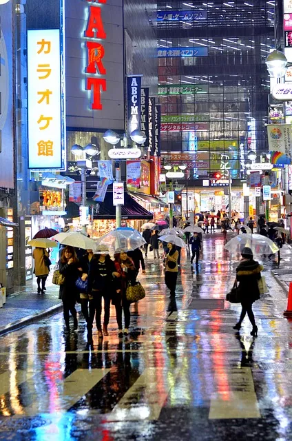 도쿄 여행 3박4일 코스