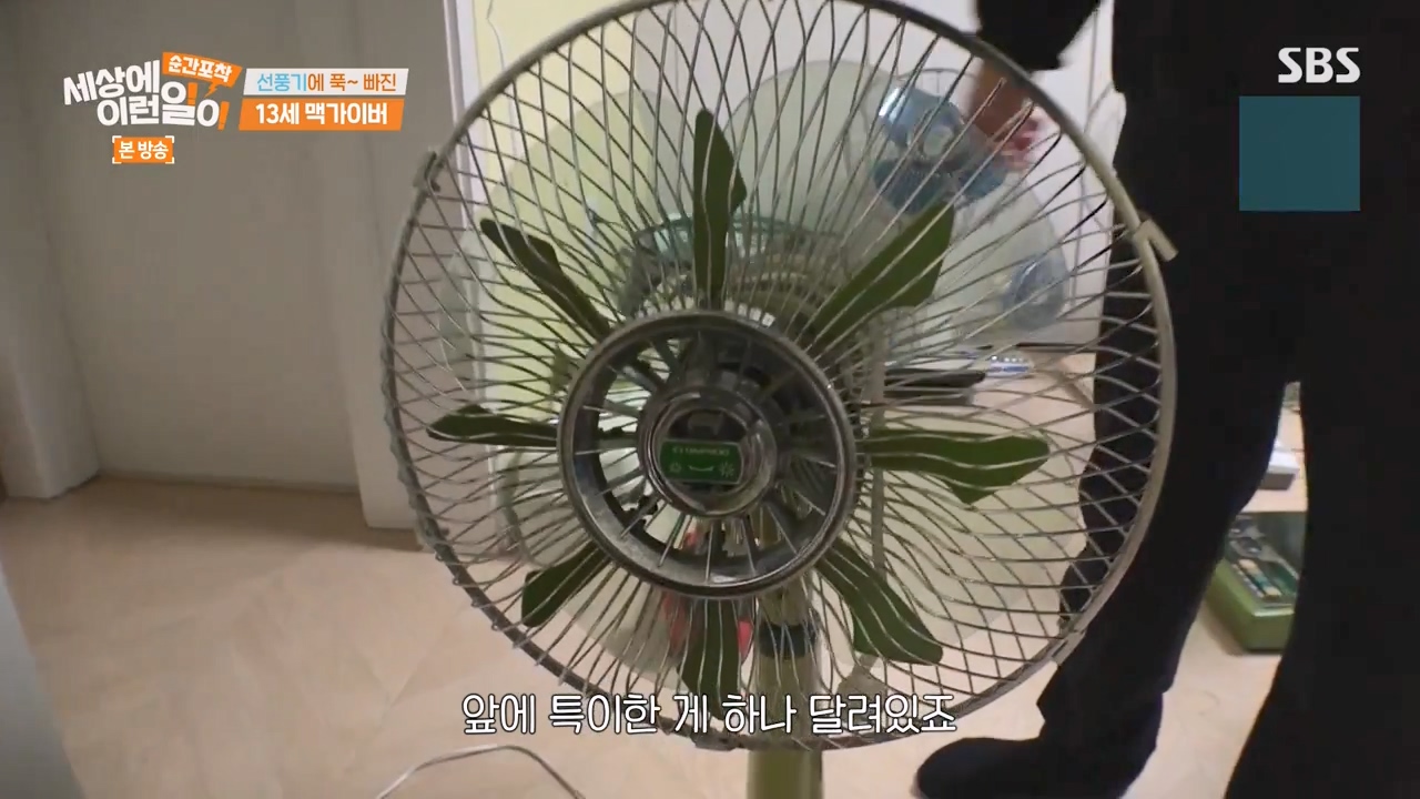 순간포착 세상에 이런일이.E1256.231217p-NEXT.mp4_20231217_172202.437.jpg