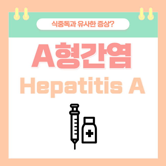  식중독과 유사한 증상의 A형 간염, 특징/증상/전파경로/예방접종/치료