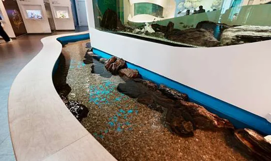 서대문자연사박물관