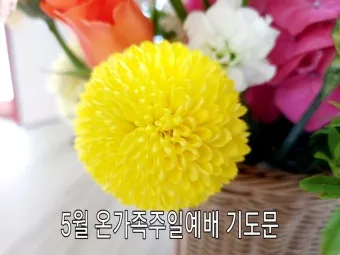 2025년 5월 둘째주 대표기도문_19