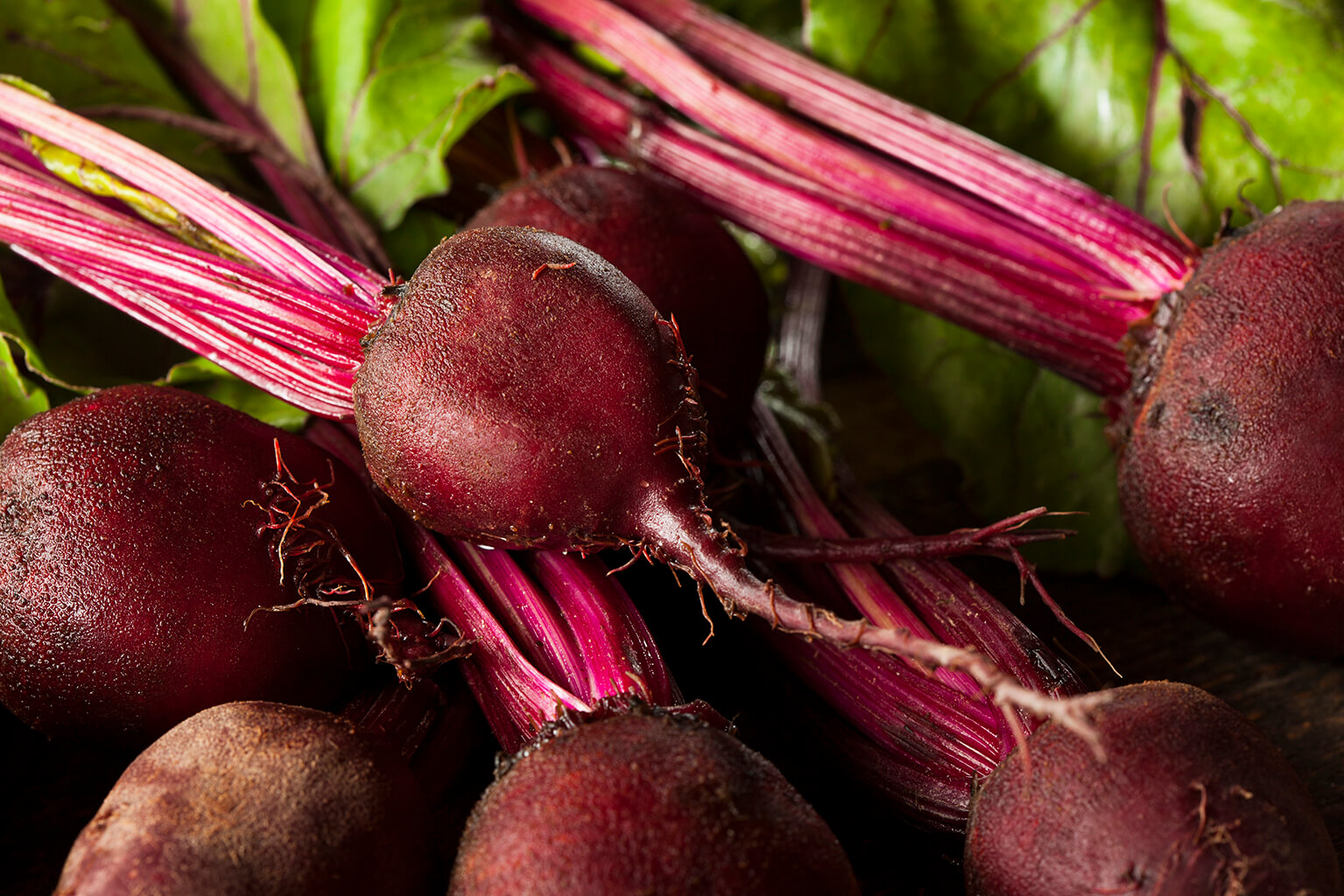 혈액순환에 좋은 음식 혈류 음식 혈액순환 비트 비트루트 beet beetroot