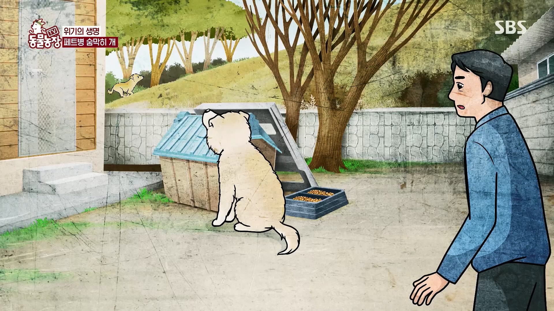 TV 동물농장.E1119.230507p.H264-F1RST.mp4_20230507_135909.586.jpg