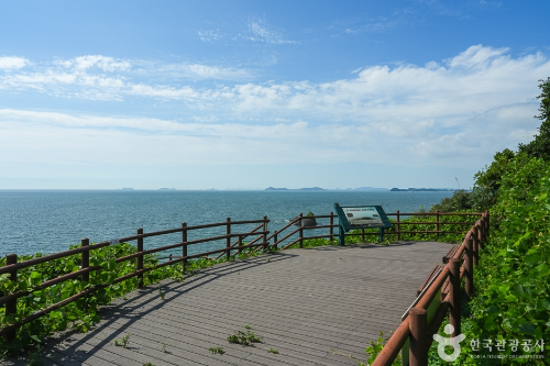 전망대