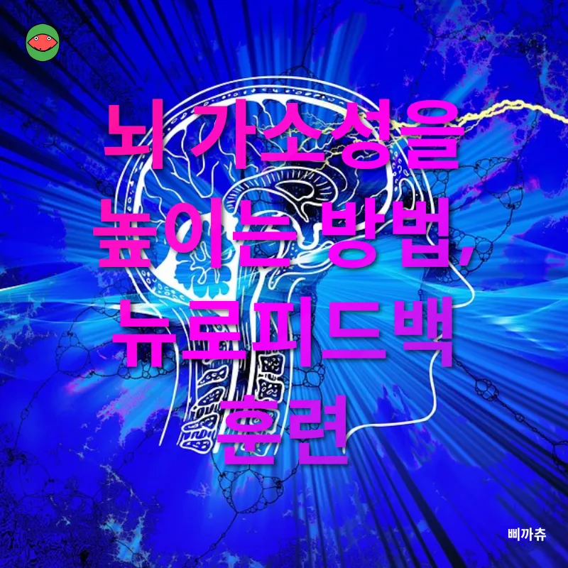 뇌 가소성_2