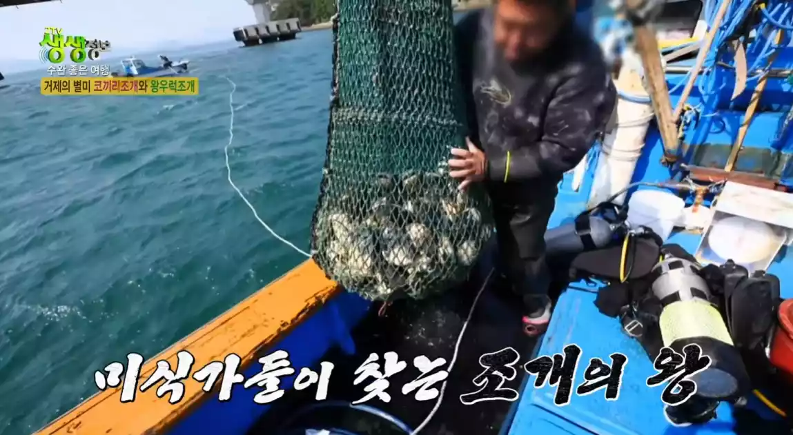 배 위의 왕우럭 조개