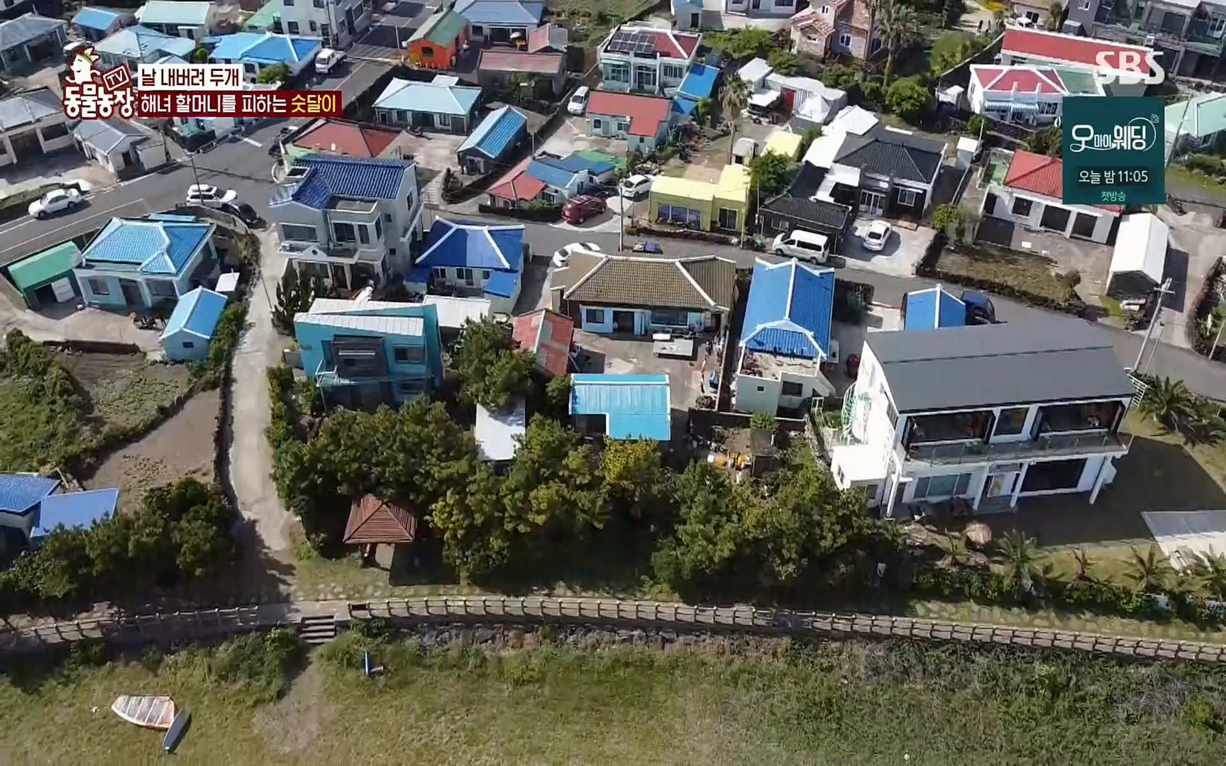 TV 동물농장.E1073.220612p.H264-F1RST.mp4_20220612_181403.870.jpg