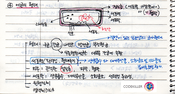 세균의 형태