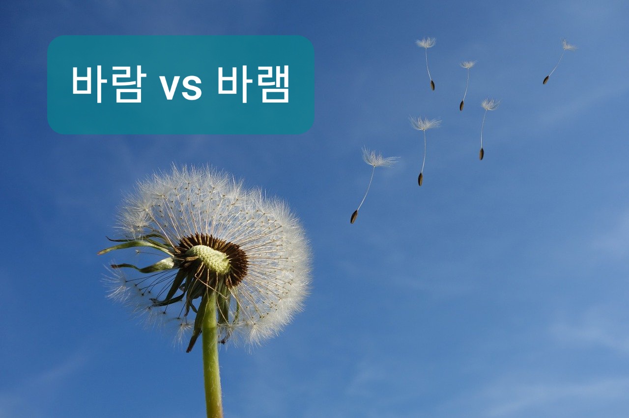  바람 바램 차이, 바람 뜻 바램 뜻 구별하기